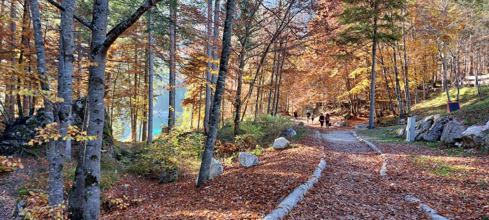 Romallo马家宾馆住宿加早餐旅馆 外观 照片